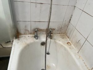 Cara Membersihkan Sealant Kamar Mandi Yang Berjamur
