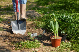 Alat Berkebun Membuat Tampilan Kebun Cantik Dan Rapi