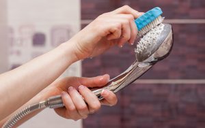 Cara Membersihkan Showerhead Kamar Mandi