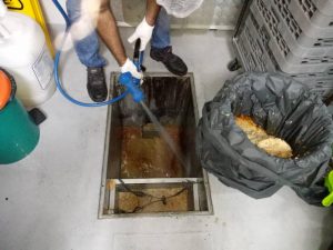 Membersihkan Grease Trap Untuk Pemeliharaan Maksimal