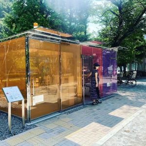 Toilet Unik Dari Berbagai Negara Ada Toilet Umum Yang Transparan