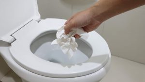 Mengatasi WC Mampet Karena Pembalut