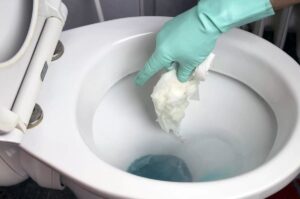 Beda WC Mampet Dan Penuh