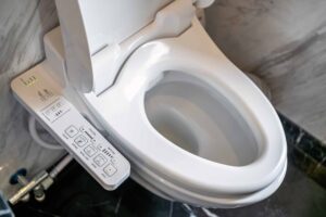 Toilet Di Singapura Tidak Ada Airnya